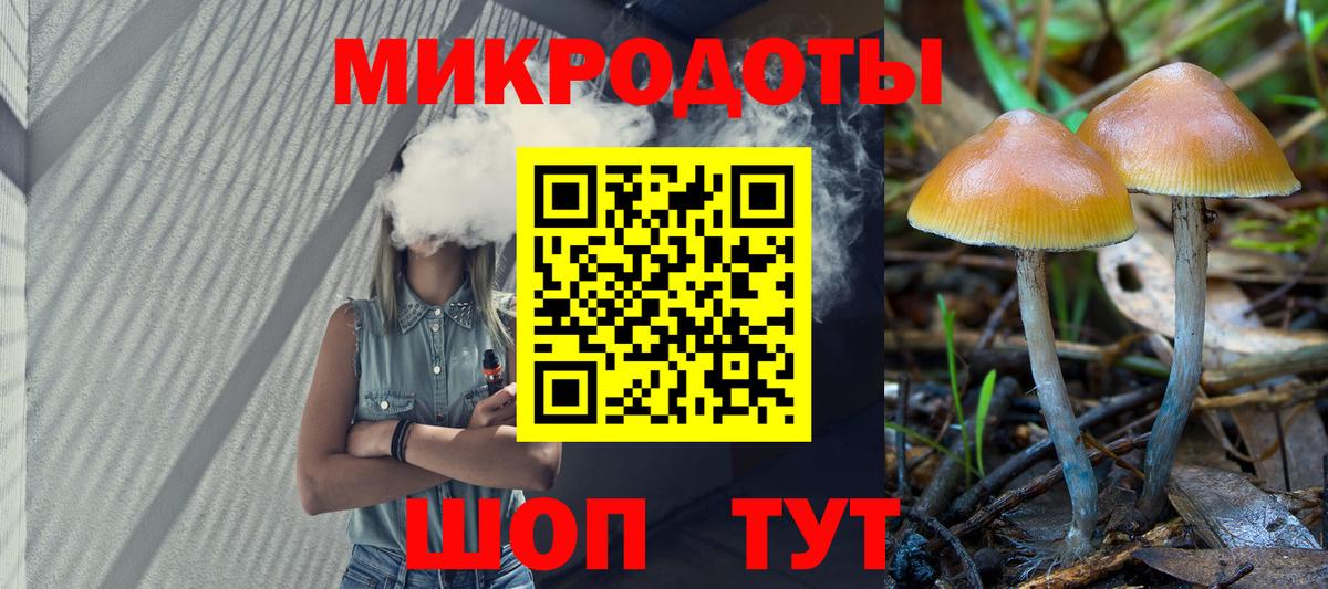 Галлюциногенные грибы Psilocybe Луховицы